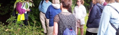 Industrial Walk Photos